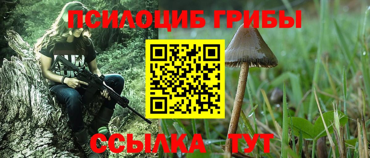 Псилоцибиновые грибы мицелий Барабинск